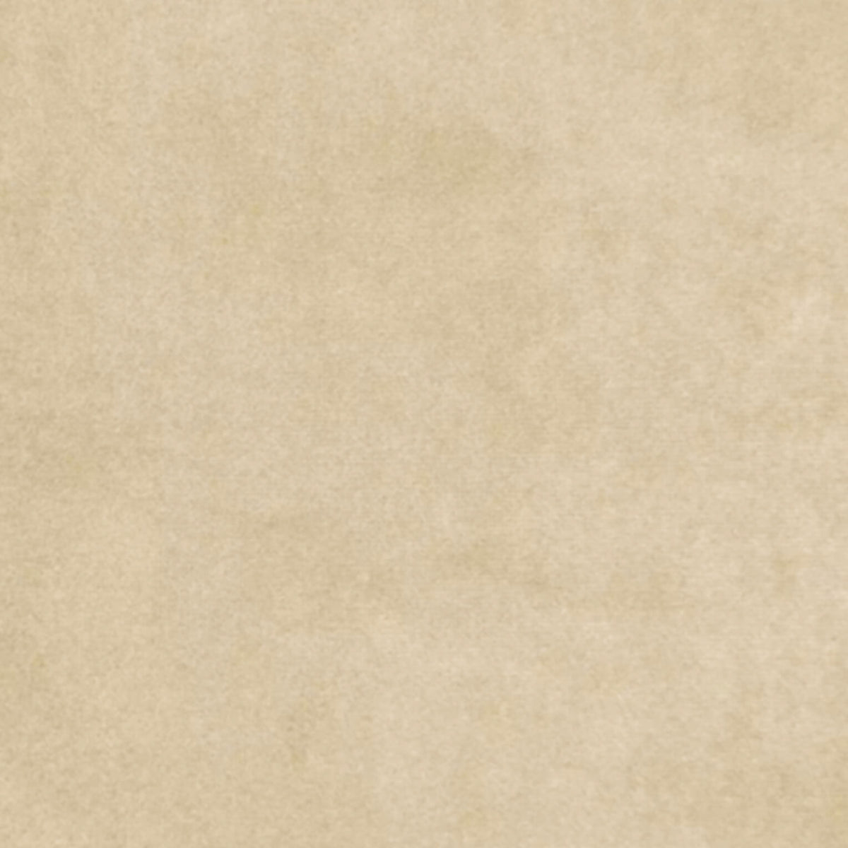 Velveteen Cream Beige Swatch